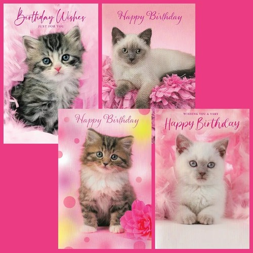 Pack birthday cards cat - of,