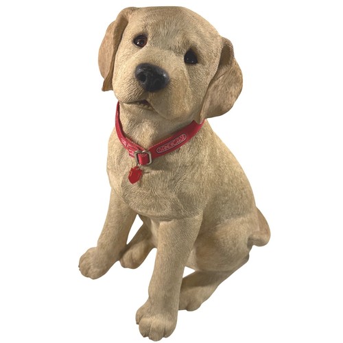 Sandicast yellow labrador - sandicast,
