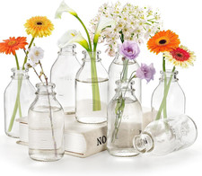 Okllen 12 Pcs Glass Bud Vase