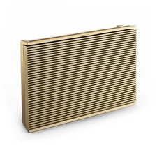 Bang & Olufsen Beosound Level