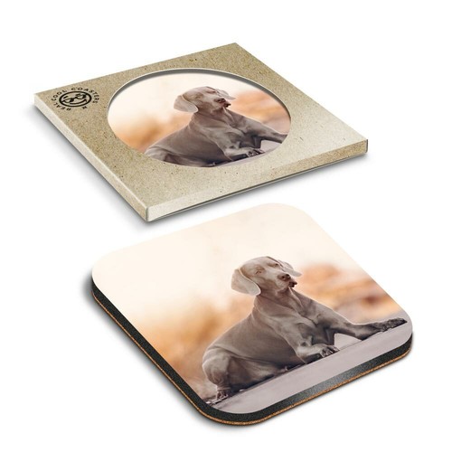 Boxed square coasters - boxed,