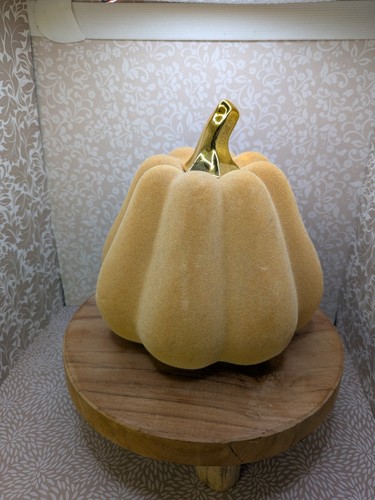 Maxx homesense halloween - homesense,