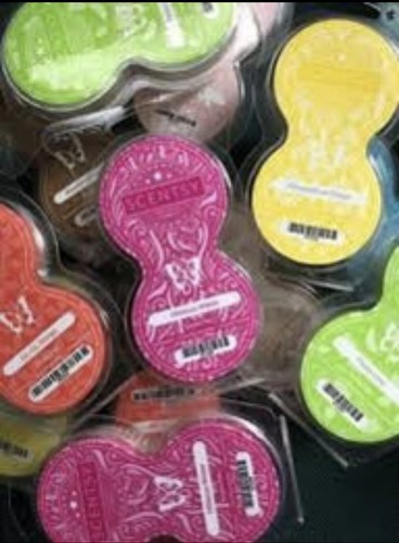 Scentsy twin pack - scentsy, of