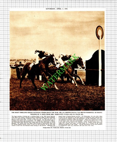 Grand national horse race - grand,