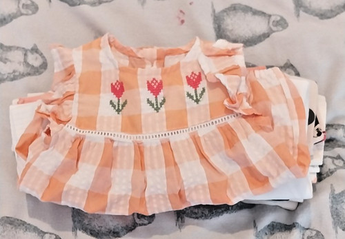 Baby girls clothing bundle - girls,