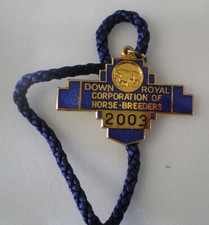 DOWN ROYAL CORPORATION OF HORSE BREEDERS 03 Racecourse Enamel Badge HORSE RACING
