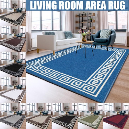 Extra large area - rugs, living