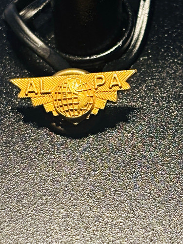Pan alpa pilot wings lapel - pan,