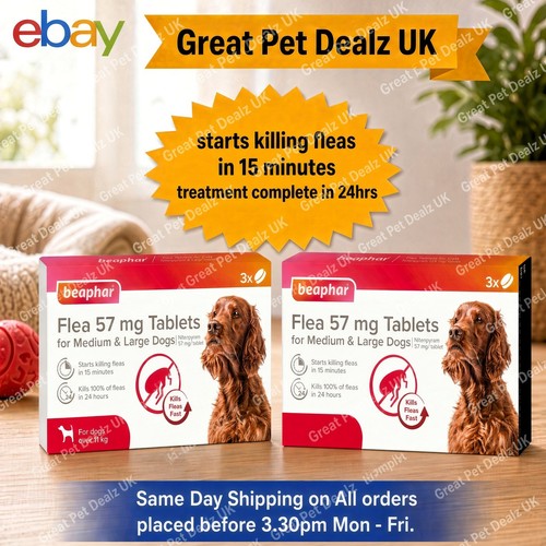 Beaphar dog flea - flea, fast