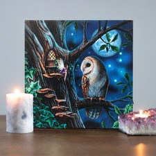 Lisa Parker Fairy Tales Owl &