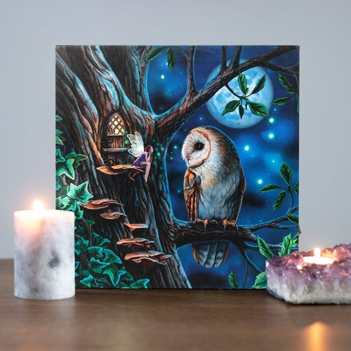 Lisa parker fairy - owl, &