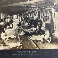 Australia PHOTO South Wales