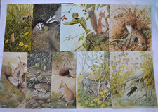 Nature Book Pages 10 x