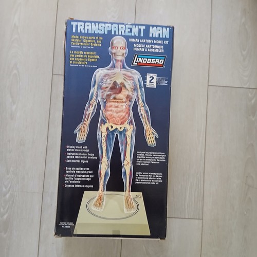 Transparent visible man - transparent,