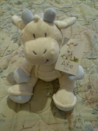 8th wonder alfie - 8th, the