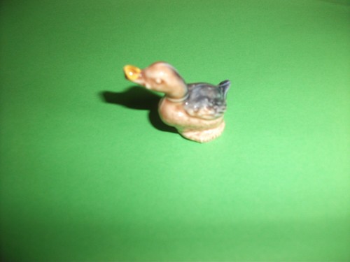 Wade duck goose - duck,