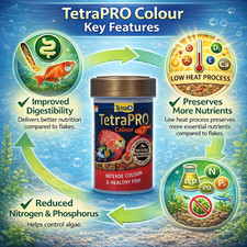 Tetra pro colour - tetra,