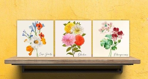 Vintage botanical print - vintage,