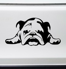 BULLDOG Vinyl Decal V4-