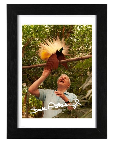 David attenborough signed - david,