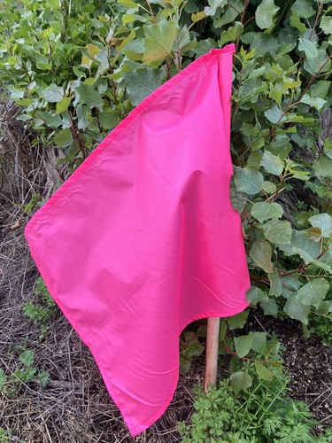 Beaters flags with - poles, set
