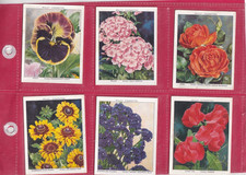 WILLS - GARDEN FLOWERS (LARGE), A SERIES -  ISSUED 1938 - 6 CARDS - HIGH NUMBERS