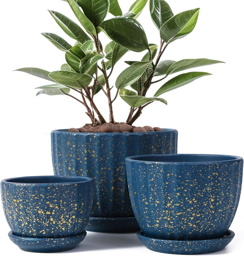 Ceramic plant pots with - pots,