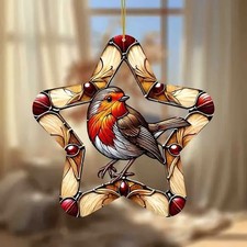 Robin Star Suncatcher Stain