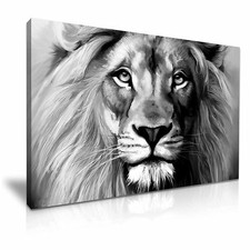 Lion Canvas Wall Art Picture Print 76x50cm