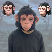 Gorilla Monkey Animal Head