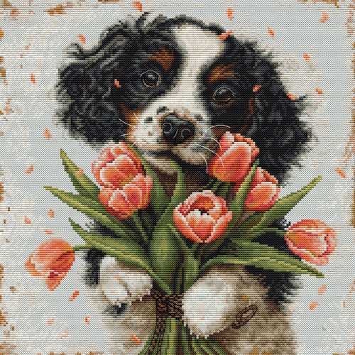The cocker spaniel puppy cross - the,