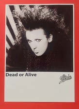 DEAD OR ALIVE / PETE BURNS - BLACK & WHITE GLOSSY PHOTO (21cm x 30cm)