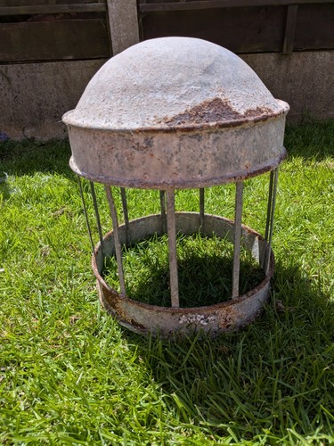 Vintage galvanised poultry - galvanised,