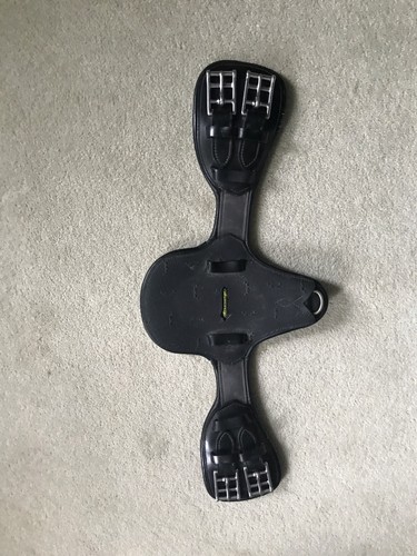 Amerigo protector dressage - amerigo,