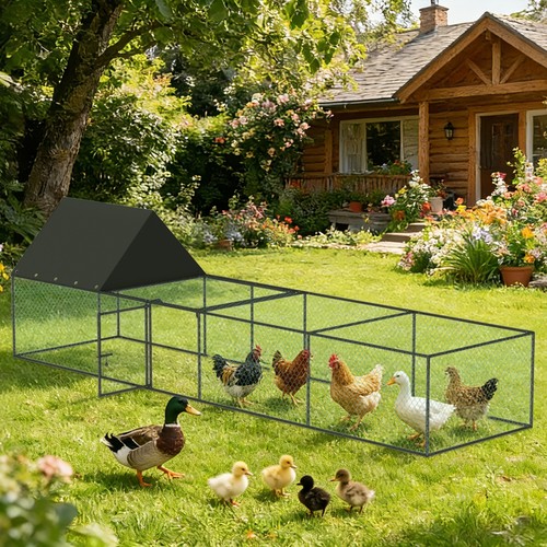 Heavy duty chicken - chicken, coop