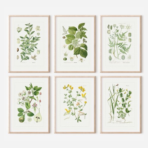 Set antique style a4 - of,