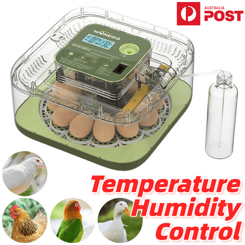 Egg incubator digital led - incubator,