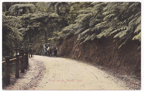 Road scene blacks spur - road,