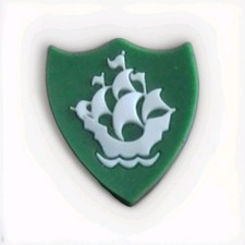 Green Blue Peter Badge
