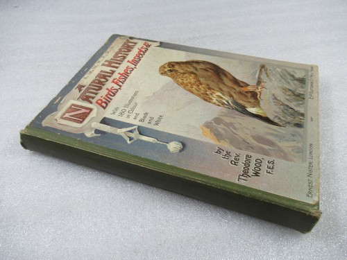 C1900 natural history birds - c1900, a
