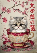 Persian  Kitten in Ornate