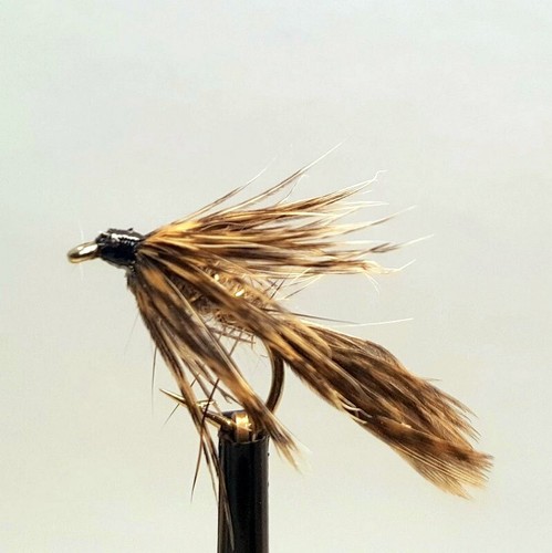 March brown spider wet - 3,
