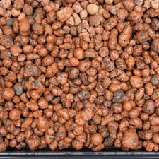20mm leca clay - pebble, balls