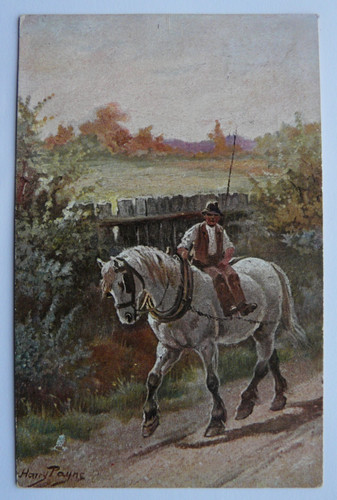 Harry payne tuck postcard - harry,