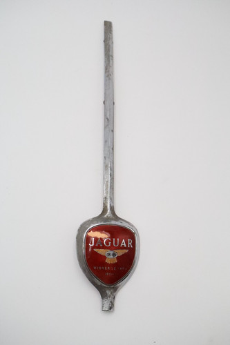 Vintage jaguar xk140 winner - xk140, le