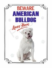 Beware american bulldog lives - beware,