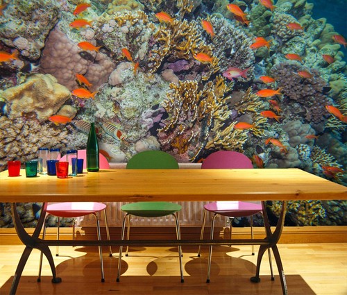 Sea coral i1655 wallpaper - 3d,