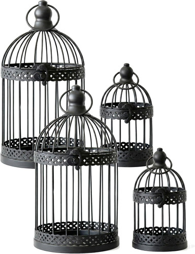 Set black bird cage - bird,