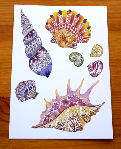 Drawn from nature helen - drawn,