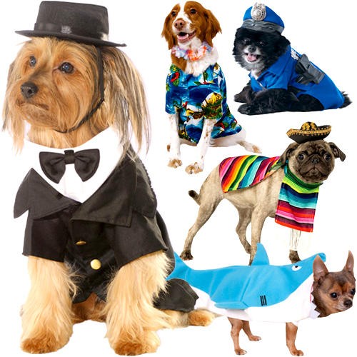 Animal dog fancy dress - fancy,